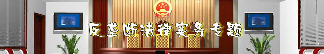 网络反垄断律师实务专题