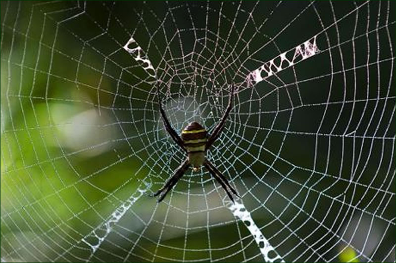 爬取电商平台用户数据牟利，被认定侵犯公民个人信息罪